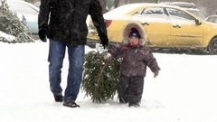 Утилизация eлок. Доброе утро. Фрагмент выпуска от 20.01.2015