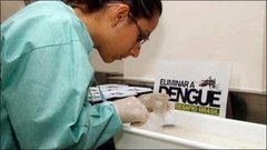 Сбор мусора. За права псов. Расследуют убийство. Страсти вокруг канала. Лихорадка Денге. Доброе утро. Фрагмент выпуска от 19.01.2015