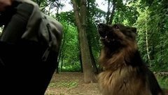 Сорвалась с цепи… Доброе утро. Фрагмент выпуска от 17.08.2015