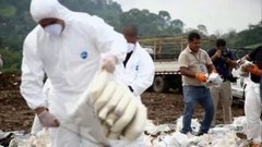 В мире. Захват наркотиков. Доброе утро. Фрагмент выпуска от 12.08.2015