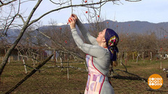 Что в Абхазии вкусного? Доброе утро. Фрагмент выпуска от 29.01.2018