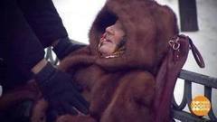 Первая помощь при сердечном приступе. Доброе утро. Фрагмент выпуска от 07.02.2018