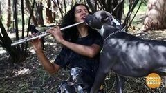 В мире. Убежище для собак. Доброе утро. Фрагмент выпуска от 09.02.2018