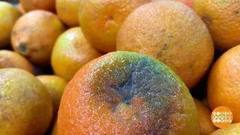 Фрукты второй свежести? Доброе утро. Фрагмент выпуска от 14.02.2018