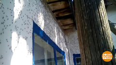 Сезон мошки. Доброе утро. Фрагмент выпуска от 03.05.2018