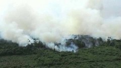 В мире. Лесные пожары. Доброе утро. Фрагмент выпуска от 23.10.2015