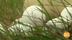 Всемирный День яйца: от мала до велика. Доброе утро. Фрагмент выпуска от 12.10.2018