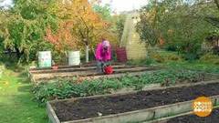 Дача. Осень. Копать или не копать? Доброе утро. Фрагмент выпуска от 19.10.2018