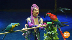 «Все Краски Мира» в Цирке на Цветном бульваре. Доброе утро. Фрагмент выпуска от 22.10.2018