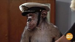 Кто в «Главной роли»? Доброе утро. Фрагмент выпуска от 08.02.2019