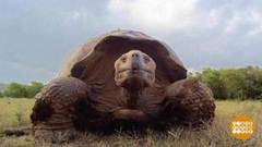 В мире. Юбилей национального парка. Доброе утро. Фрагмент выпуска от 01.03.2019