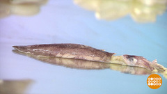 Консервированные кальмары. Тонкости выбора. Доброе утро. Фрагмент выпуска от 09.04.2019