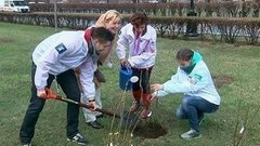 К масштабной акции «Сирень Победы» присоединились Москва и Петербург