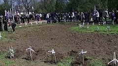 Эстафету международной акции «Сирень победы» подхватил город-герой Керчь