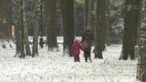 Синоптики предупреждают об ухудшении погоды в Центральной России
