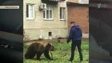 Человек с медведем на поводке привлек внимание жителей Таганрога и местных правоохранительных органов