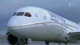 Бортпроводник авиакомпании American Airlines ударил пассажирку с ребенком и был отстранен от полетов