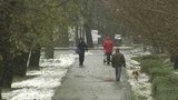 В Москве ухудшается погода — объявлен повышенный уровень опасности
