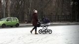 Первый день календарной зимы порадовал москвичей снегом