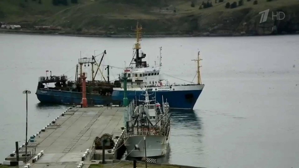Где находится судно остров шикотан Работникам рыбокомбината на Шикотане вернули все заработанное. Новости. Первый к