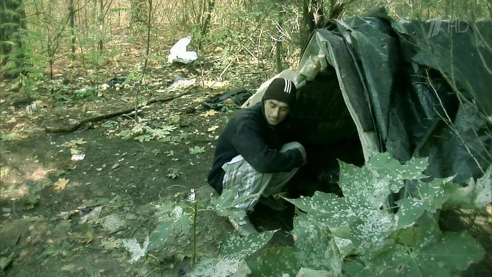 Как сложилась судьба "бельцкого Маугли" Сергея Войницкого. Вместо счастливой жизни - тюрьма