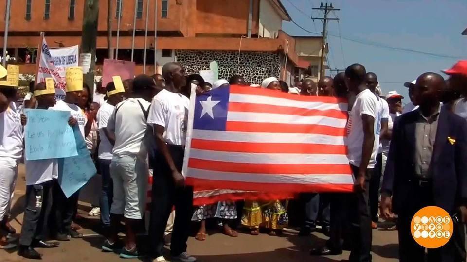 Сегодня национальный день. Праздники в Либерии. Выборы Либерия. Либериец.