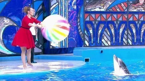 Яна Чурикова. Выступление. Вместе с дельфинами. Фрагмент выпуска от 03.10.2015