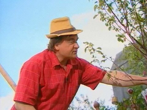 Грядка. Выпуск от 5 июня 2010