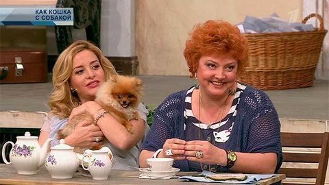 Как кошка с собакой. Они и мы. Выпуск от 10.06.2014