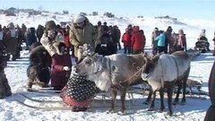 Ярмарка оленеводов. Доброе утро. Фрагмент выпуска от 11.03.2016