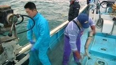 В мире. Всемирный день рыболовства. Доброе утро. Фрагмент выпуска от 27.06.2016