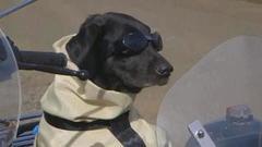 В мире. 131 год первому мотоциклу. Доброе утро. Фрагмент выпуска от 29.08.2016