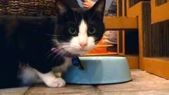 В мире. Вашингтон стал столицей. Доброе утро. Фрагмент выпуска от 01.12.2016