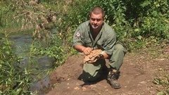 Обед без посуды. Доброе утро. Фрагмент выпуска от 28.07.2015