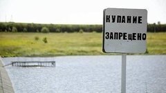 Купаться запрещено! Доброе утро. Фрагмент выпуска от 15.07.2015