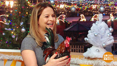 Светлана Акулова и петух. Доброе утро. Фрагмент выпуска от 30.12.2016