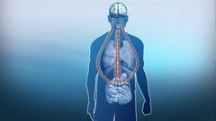 Жара + алкоголь. Доброе утро. Фрагмент выпуска от 10.07.2015