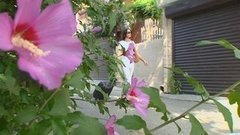 Отдых «дикарeм»: снимаем жильe. Доброе утро. Фрагмент выпуска от 17.06.2015