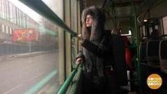 Дети-безбилетники: теперь их не высадят? Доброе утро. Фрагмент выпуска от 01.03.2017