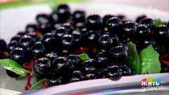 Черная смородина — ягода молодости. Жить здорово! Фрагмент выпуска от 22.03.2017