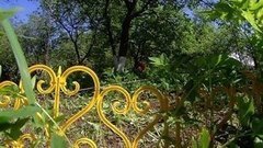 Споры о заборе. Доброе утро. Фрагмент выпуска от 03.06.2015