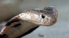 В мире. Национальный праздник Вьетнама. Доброе утро. Фрагмент выпуска от 19.05.2015