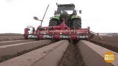 Капустный детский сад и морковные рекорды. Доброе утро. Фрагмент выпуска от 02.05.2017