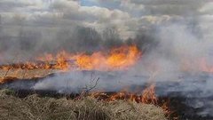 Не надо жечь траву! Доброе утро. Фрагмент выпуска от 15.04.2015