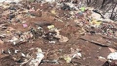 Несанкционированные свалки. Доброе утро. Фрагмент выпуска от 09.04.2015