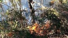 В мире. Лесные пожары. Доброе утро. Фрагмент выпуска от 09.04.2015