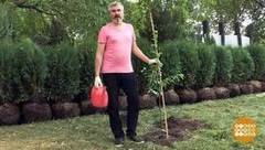 Высаживаем растение из контейнера. Доброе утро. Фрагмент выпуска от 26.07.2017