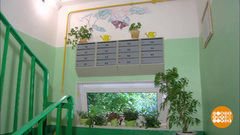 Подъезды-красавцы. Доброе утро. Фрагмент выпуска от 22.08.2017