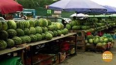 Ищем нитраты в арбузах. Доброе утро. Фрагмент выпуска от 12.09.2017