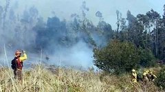 В мире. Лесные пожары. Доброе утро. Фрагмент выпуска от 03.03.2015